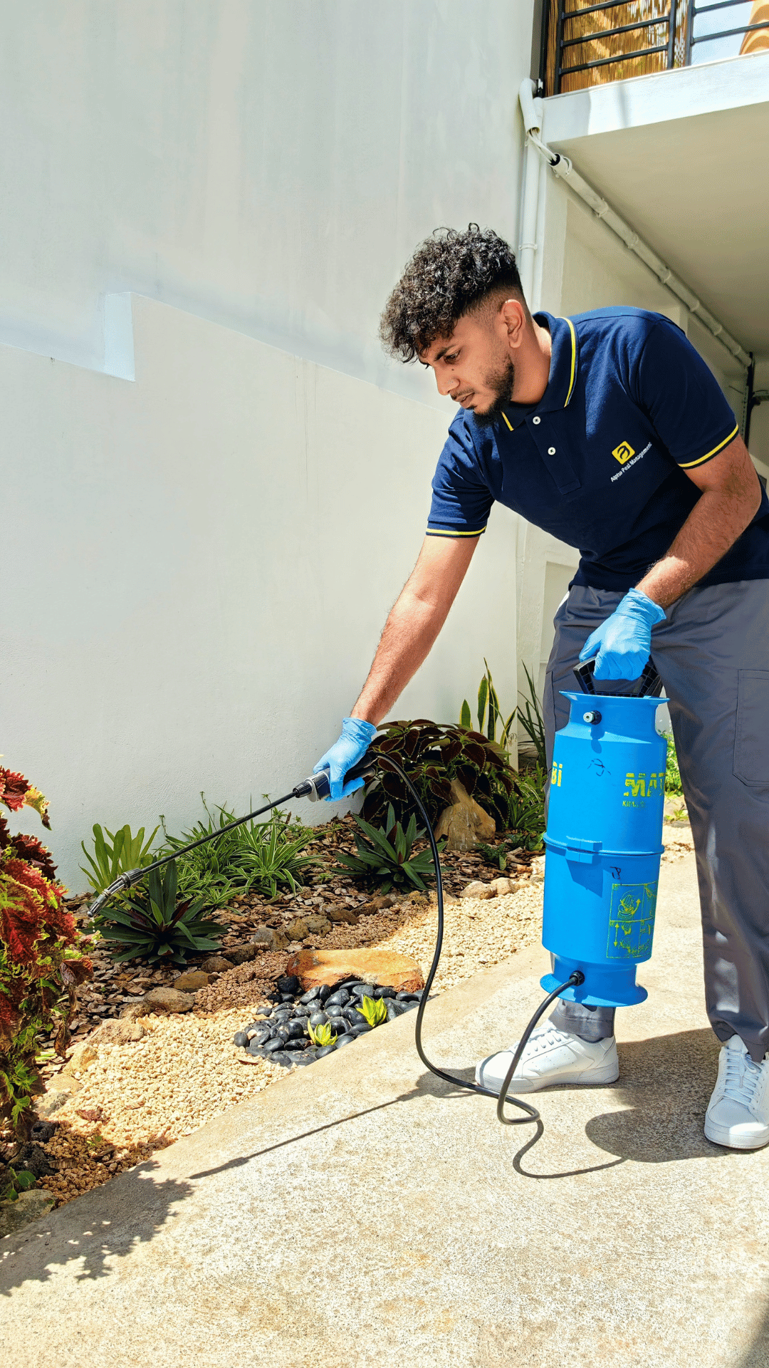 A man spraying for ant treatment